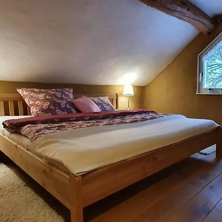 The Paterhaus Comfortable *
